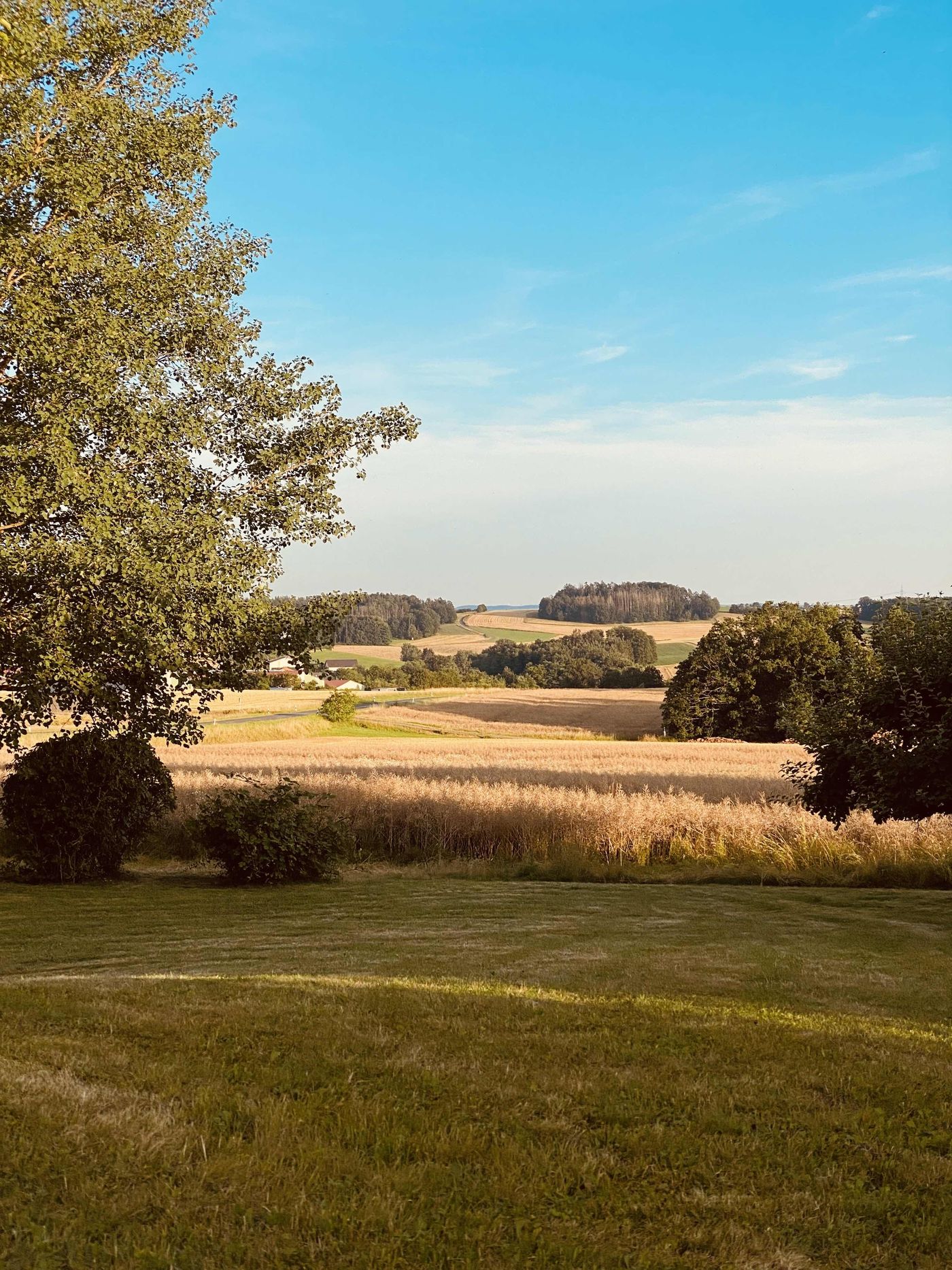 Fensterausblick