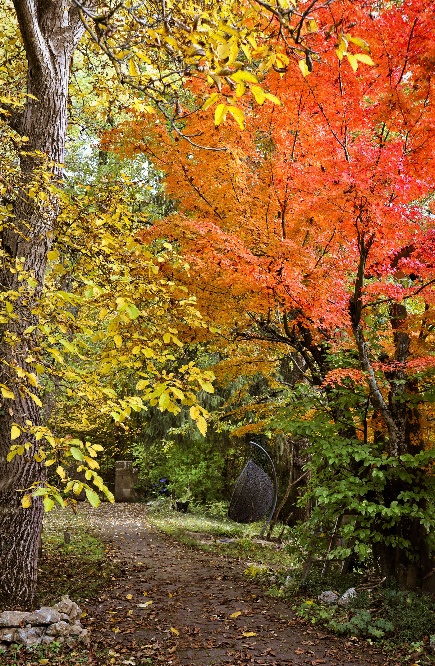 Herbstgarten