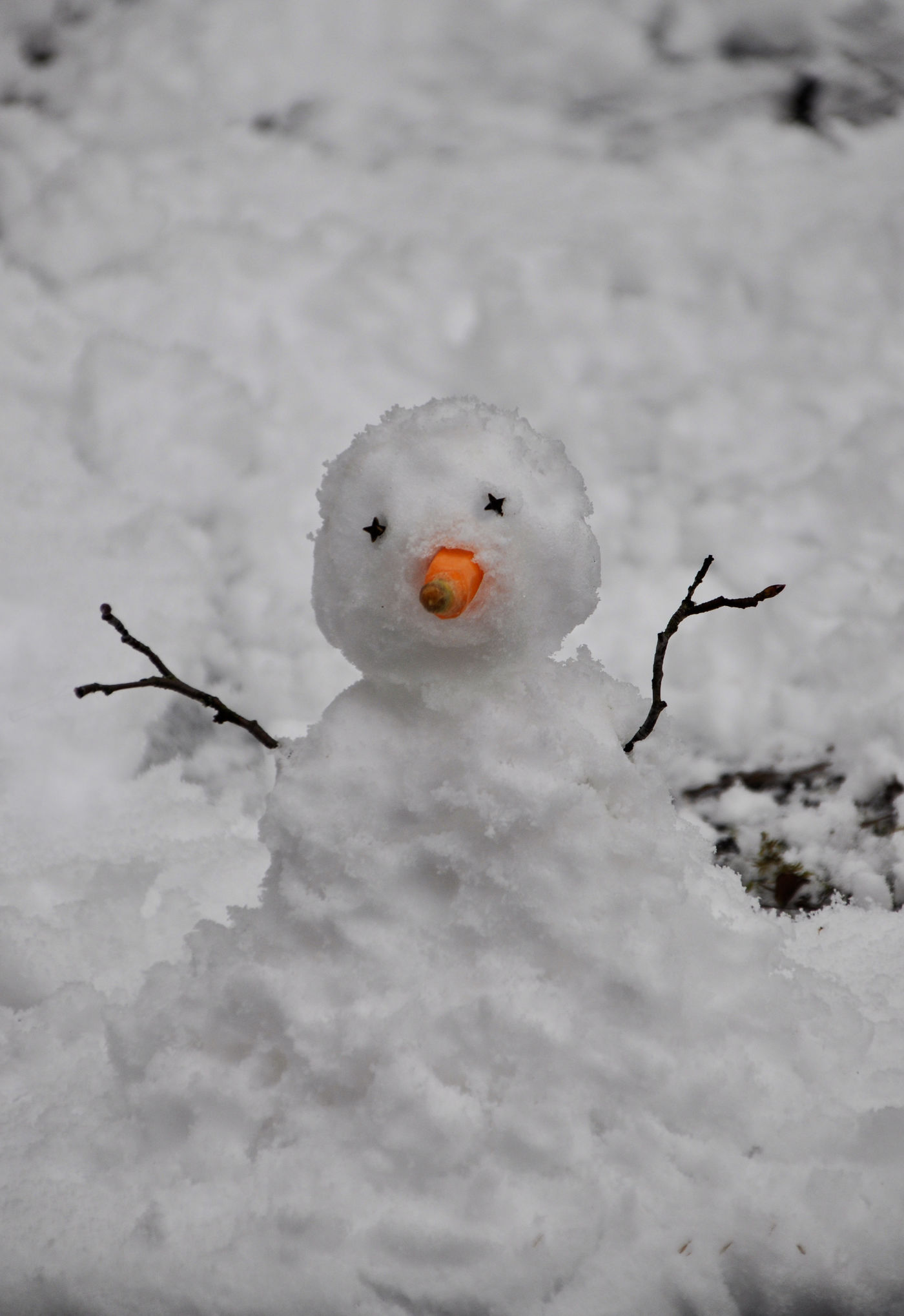 Schneemann