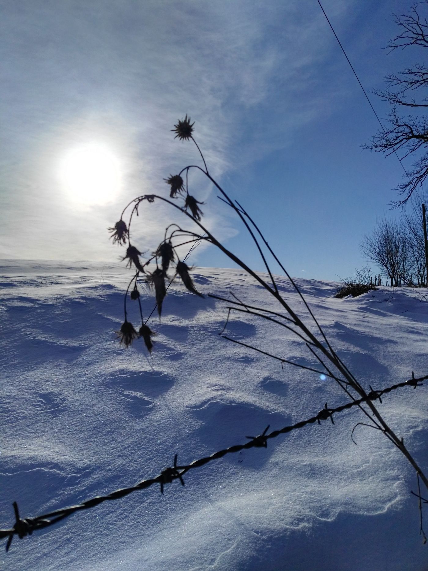 Winterspaziergang