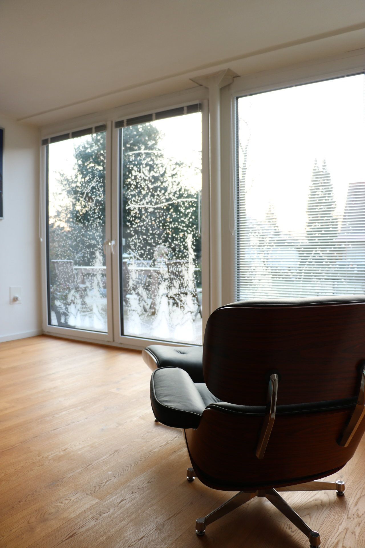 Eames Lounge Chairs