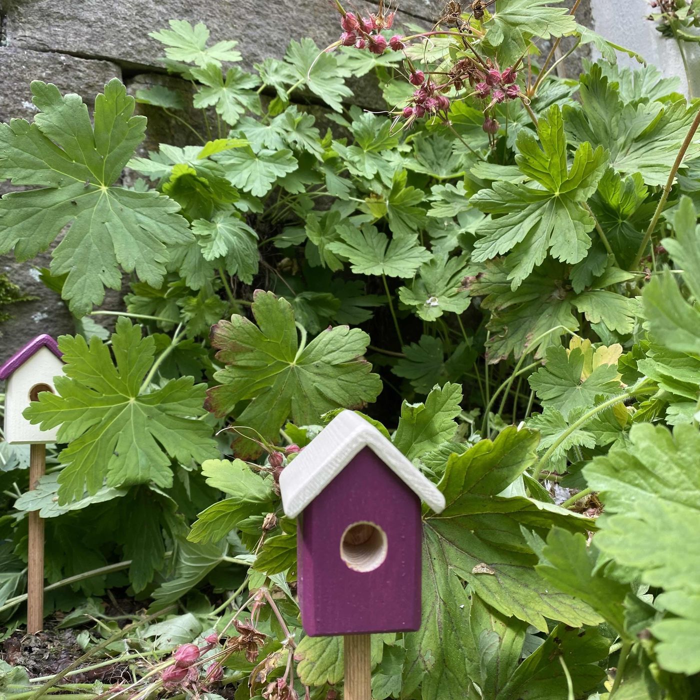 Gartenliebe