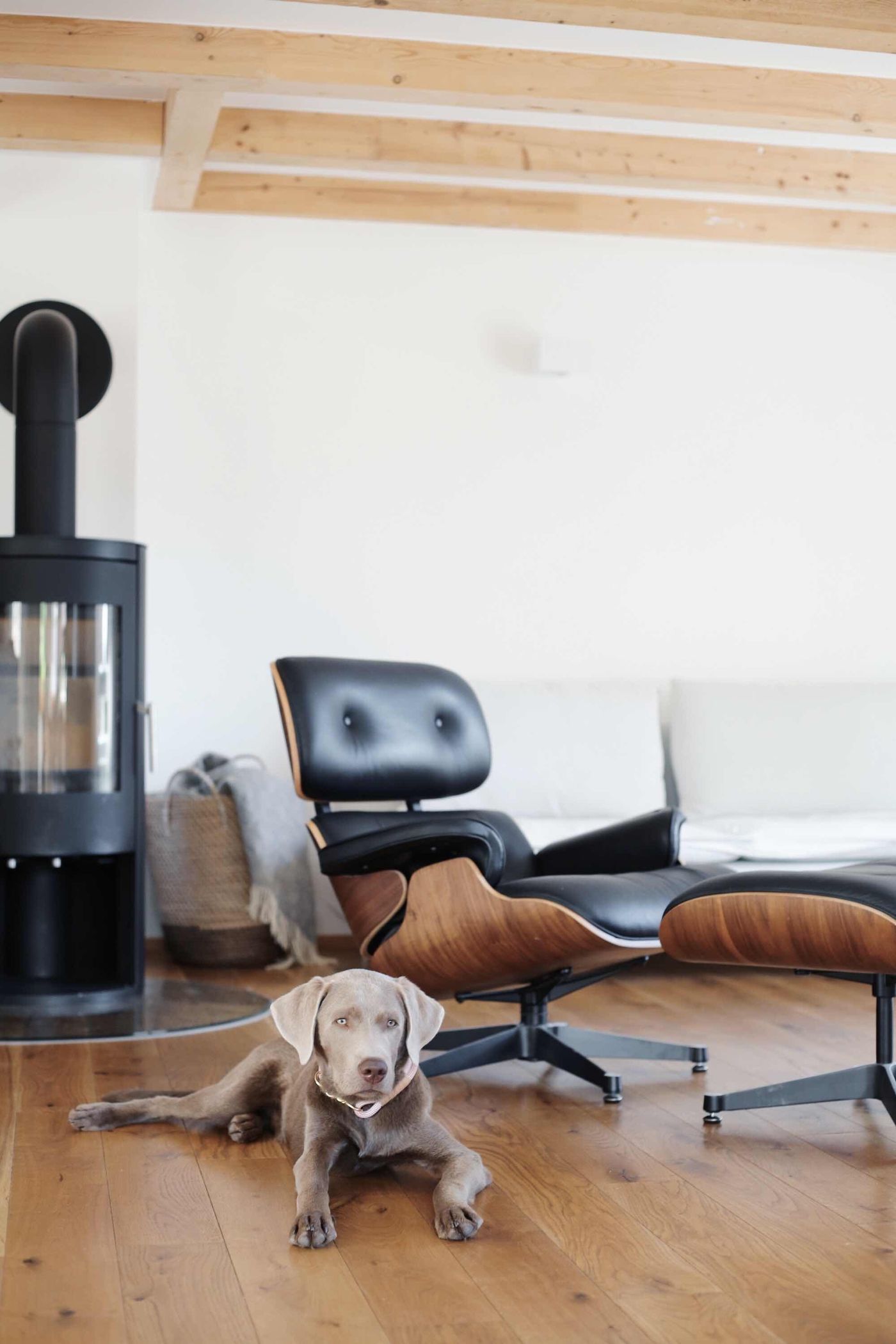 Eames Lounge Chairs