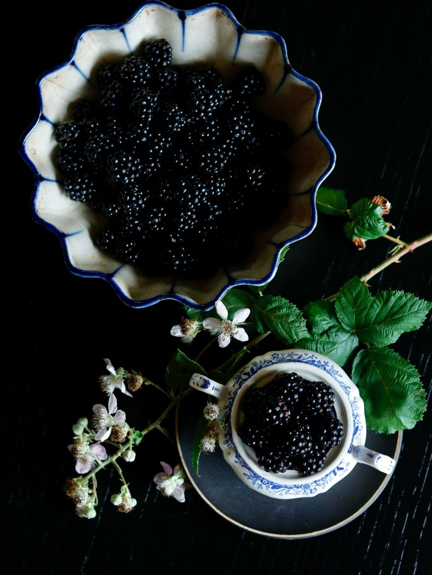 Brombeeren