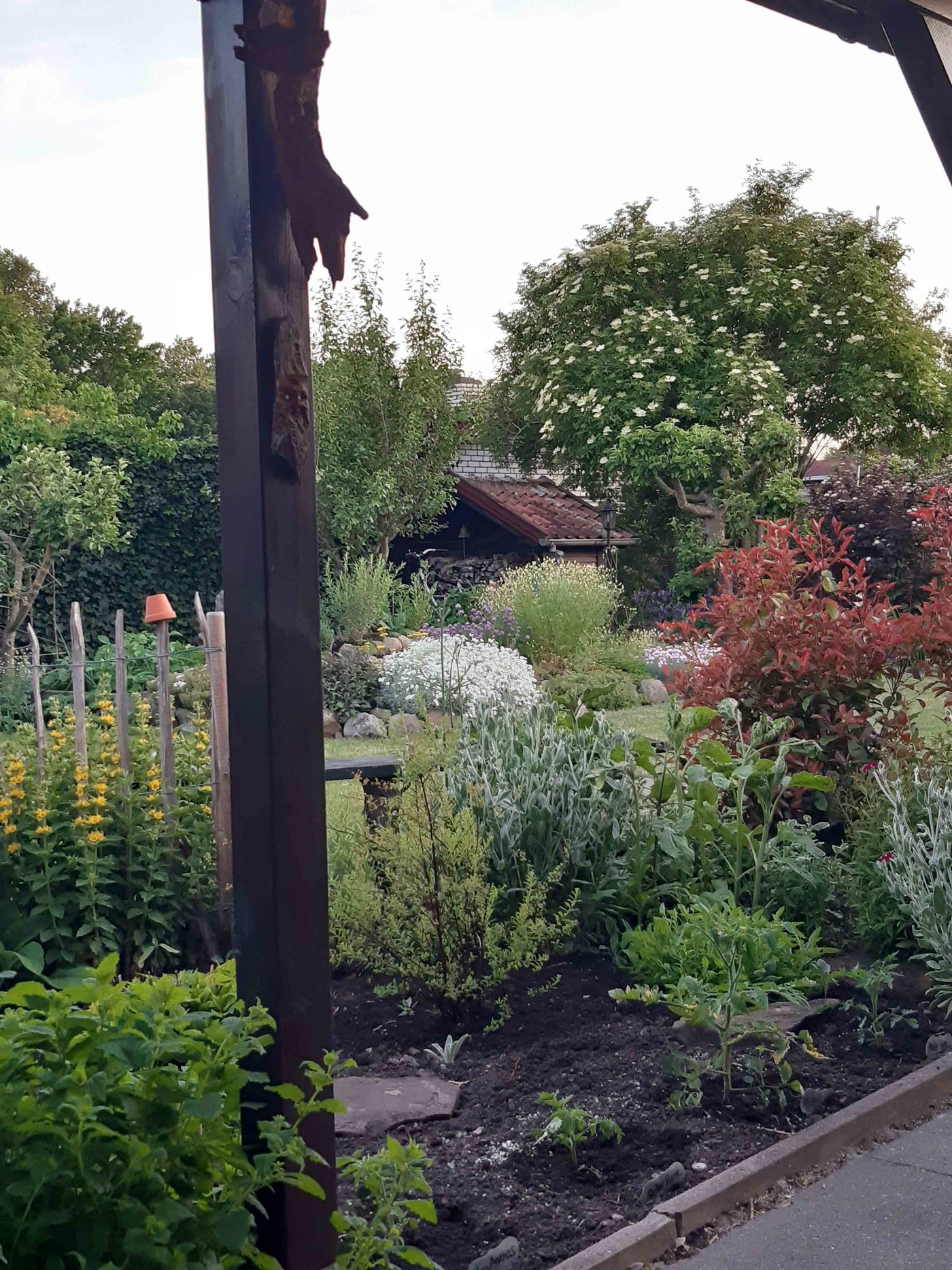 Kleiner Garten