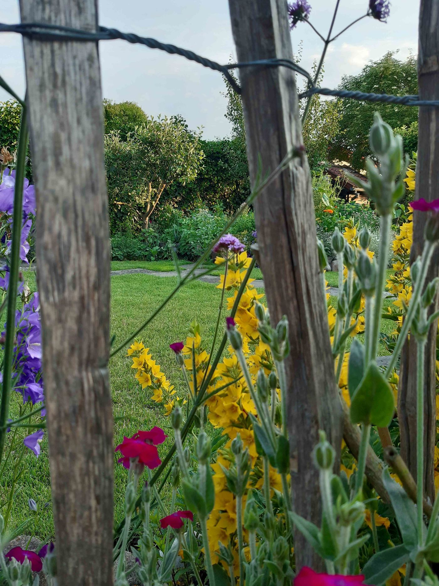 Kleiner Garten