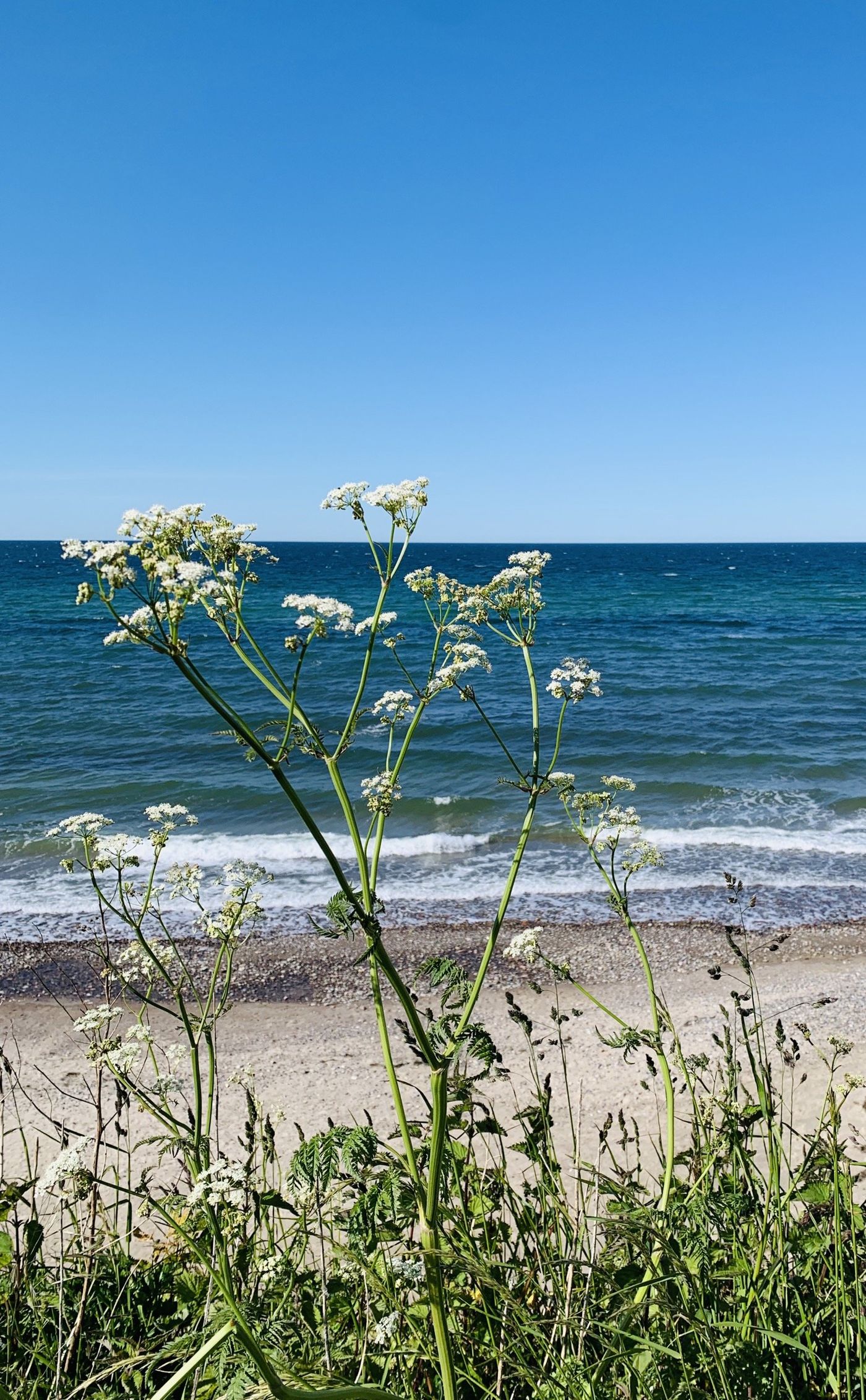 Ostsee