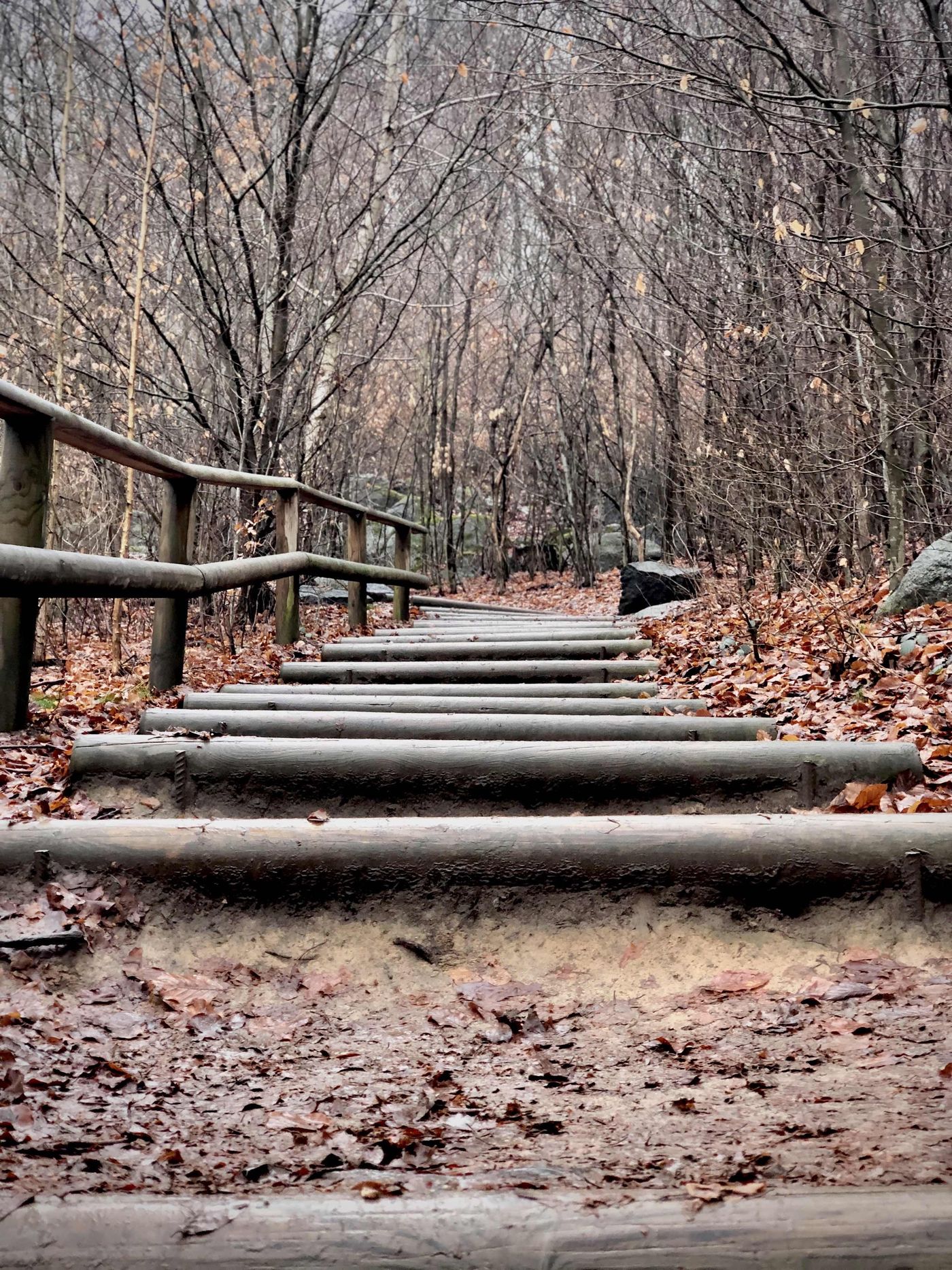 Waldspaziergang