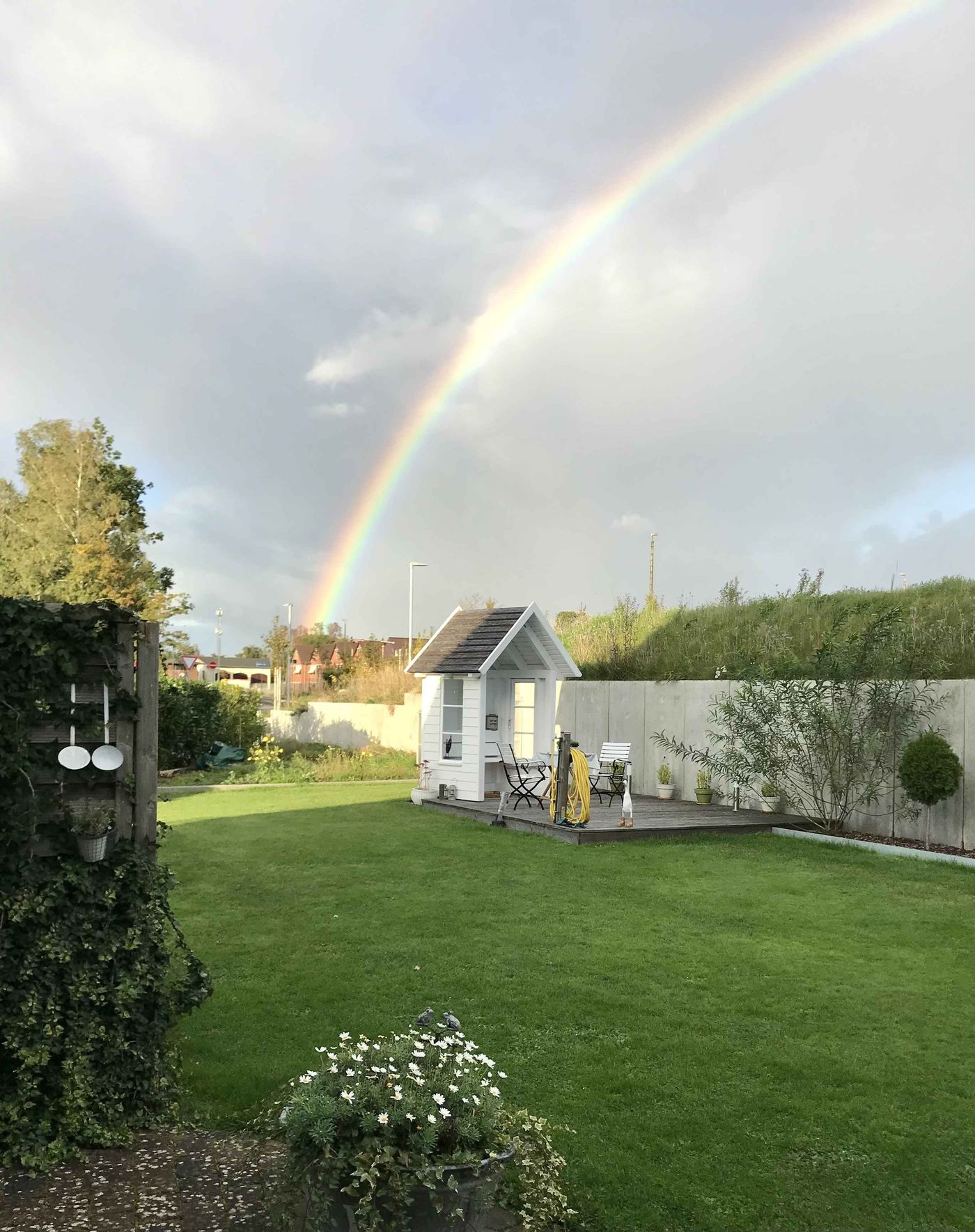 Regenbogen