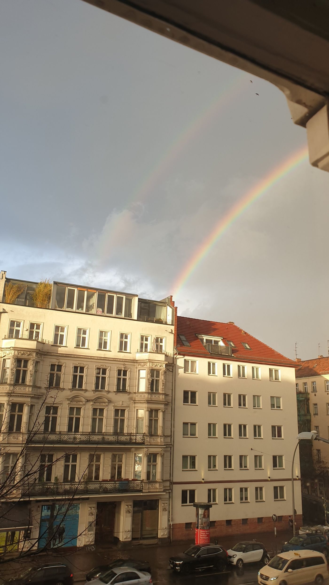 Regenbogen