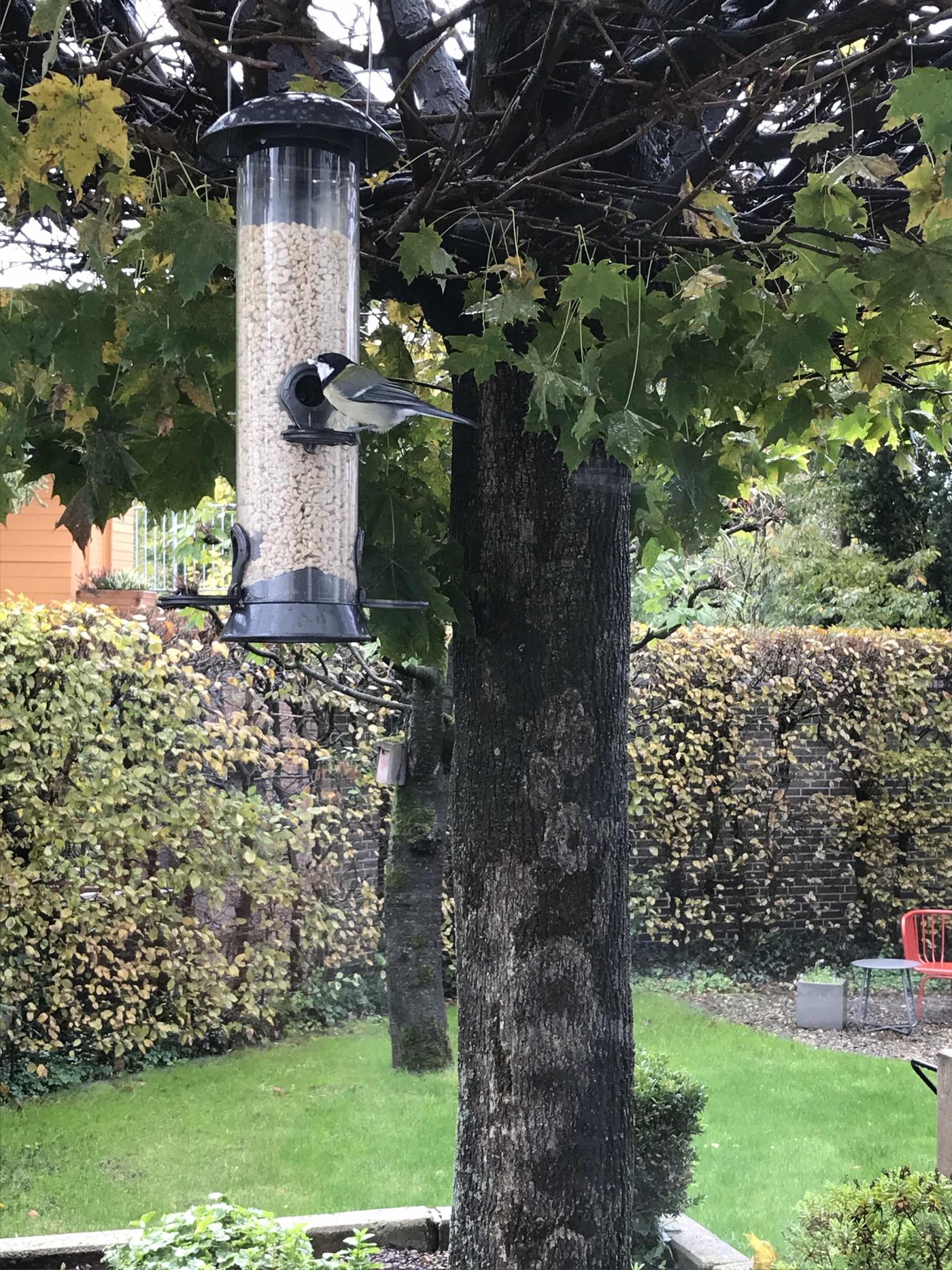 Herbstgarten