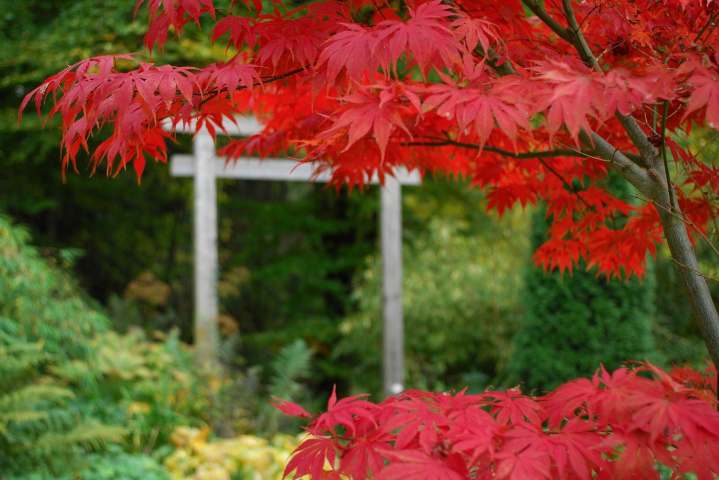 Herbstgarten