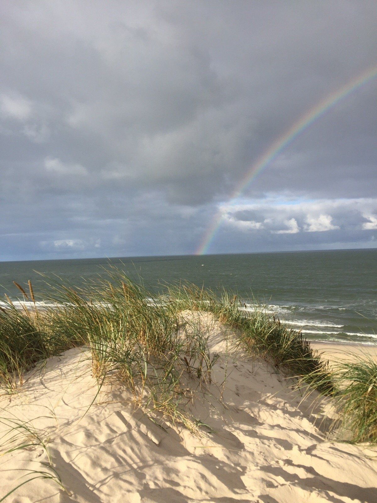 Regenbogen