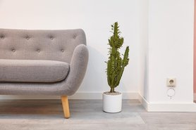 Sofa Herman in Grau