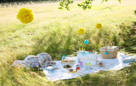 Sommer-Picknick