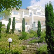 Garten mit Treppe zum Anwesen